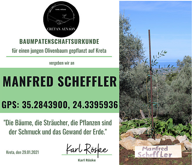 Tree partnership certificate for a young olive tree planted in Crete in 2021
