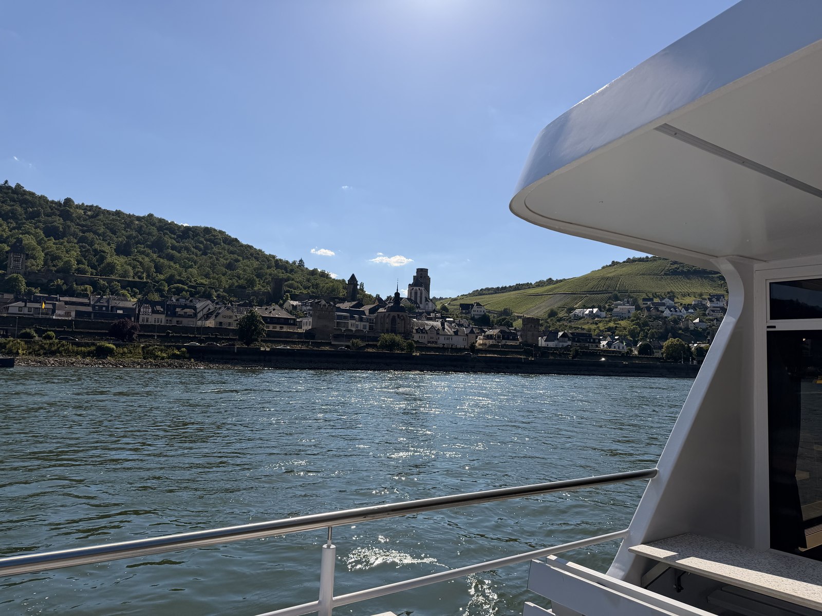 Impression from the Plantafood Medical Summer Celebration 2026 on the Rhine.